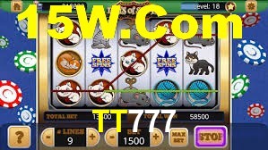 Premium Interface TT777